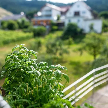 Apartamento Liebich Bühl