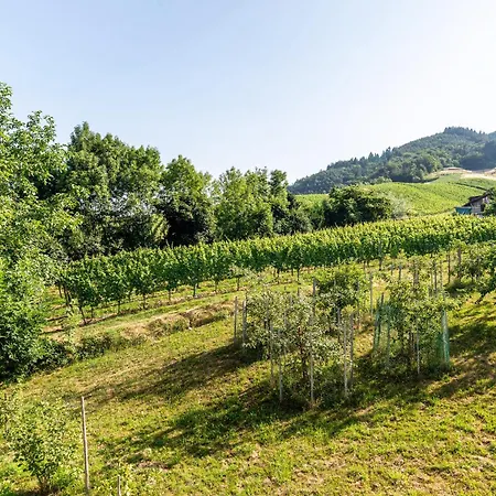 Liebich Apartamento Bühl